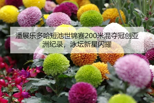 潘展乐多哈短池世锦赛200米混夺冠创亚洲纪录，泳坛新星闪耀