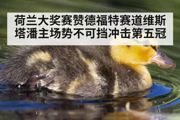 荷兰大奖赛赞德福特赛道维斯塔潘主场势不可挡冲击第五冠